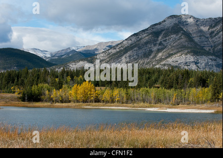 Die kanadischen Rockies am Bow Valley Provinzpark in Alberta, Kanada Stockfoto