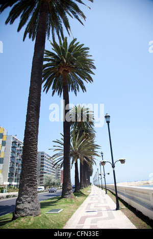 Viña Del Mar, ein beliebtes Erholungsgebiet an Chiles Central Coast, in der Nähe von Valparaiso. Viele Bewohner von Santiago haben Strand Häuser hier. Stockfoto