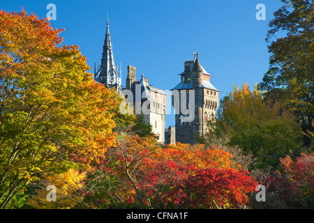 Cardiff Castle, Bute Park, South Wales, Wales, Vereinigtes Königreich, Europa Stockfoto