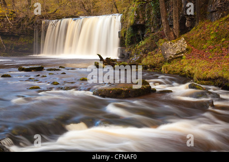 Sqwd Ddwli Wasserfall, Brecon Beacons, Mid Wales, Vereinigtes Königreich, Europa Stockfoto