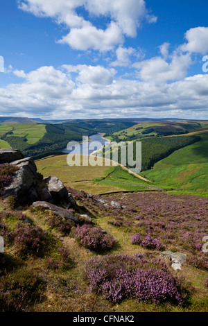 Derwent Rand, Derbyshire, England, Vereinigtes Königreich, Europa Stockfoto