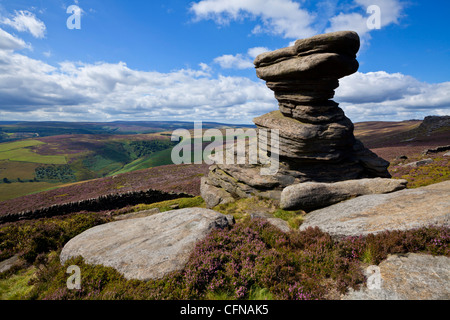 Salzstreuer Rock, Derbyshire, England, Vereinigtes Königreich, Europa Stockfoto