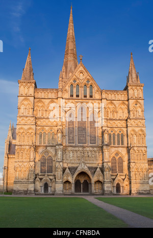 Kathedrale von Salisbury, Salisbury, Wiltshire, England, Vereinigtes Königreich, Europa Stockfoto