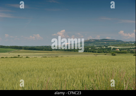 Eine hügelige Landschaft mit Weizenfeldern, Uvaly, Brnensko, Tschechische Republik, Europa Stockfoto