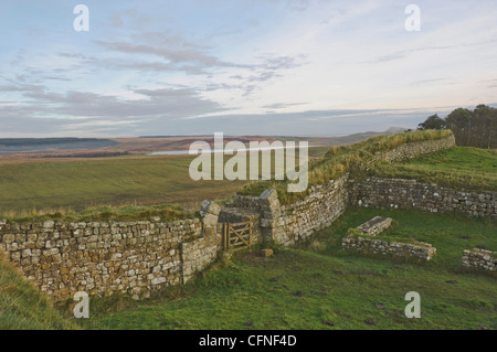 Blick nach Norden vom Milecastle 37, Broomlee Lough, Northumberland, England, Vereinigtes Königreich, Europa Stockfoto