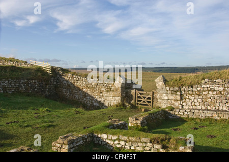 Milecastle 37 West, Northumberland, England, Vereinigtes Königreich, Europa suchen Stockfoto