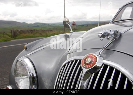 Jaguar Mk2 Motorhaube Abzeichen und Maskottchen - den Springer Stockfoto