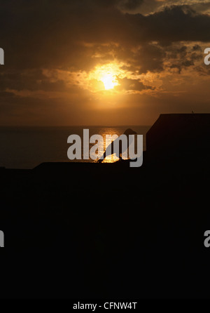 Krähe Silhouette bei Sonnenuntergang auf den alten Wällen der Festung in Galle, Sri Lanka Stockfoto