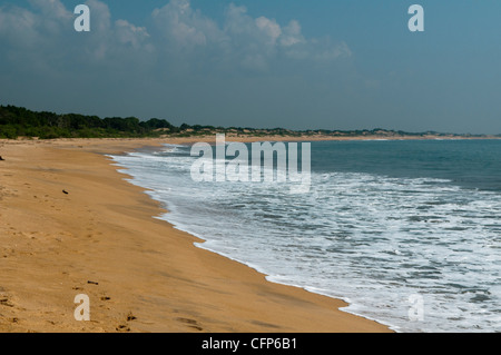 leeren Strand in Yala Nationalpark in Sri Lanka Stockfoto