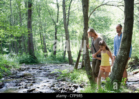 Familie Bach im Wald entlang wandern Stockfoto