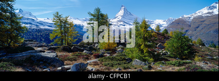 Matterhorn, Kanton Wallis, Lärchen im Herbst, Panorama, Symbol und Wahrzeichen der Schweiz Stockfoto