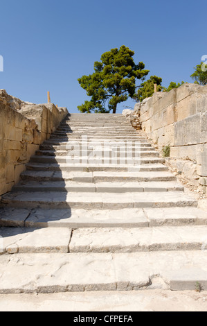 Phaistos. Kreta. Griechenland. Ansicht der langen Treppe, die nach unten aus dem oberen Gericht an das West-Gericht des Palastes des führt Stockfoto