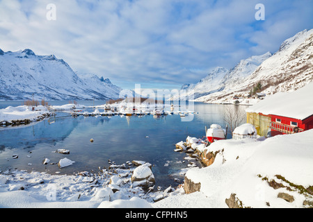 Schneebedeckte Berge, Bootshaus und Liegeplätzen im norwegischen Fjord Dorf von Ersfjord, Kvaloya Insel, Troms, Norwegen, Europa Stockfoto