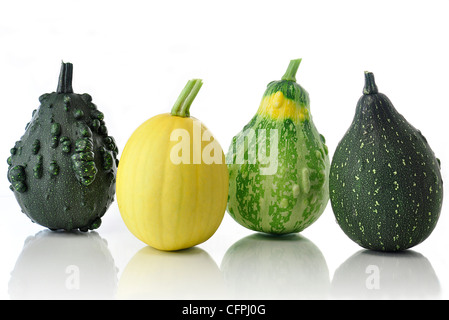 gelbe und grüne dekorative Kürbisse Stockfoto