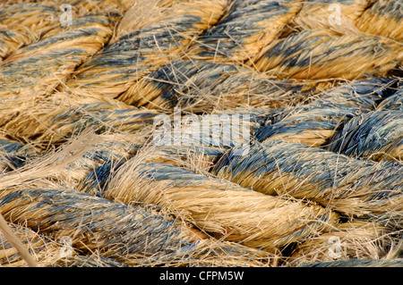 Seil Stockfoto