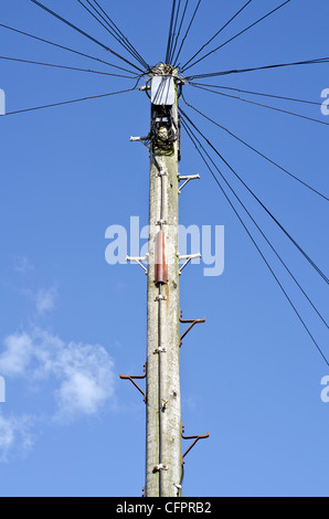 Alte hölzerne britische BT Telegraphenmast gegen den blauen Himmel in England, Großbritannien. Stockfoto