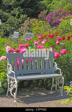 Drei leeren weißen Bänken unter Blumen im park Stockfoto