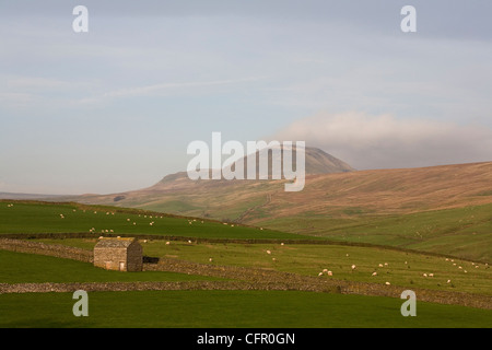 Cloud-streaming über den Gipfel des Pen-y-Gent Ribblesdale North Yorkshire England Stockfoto