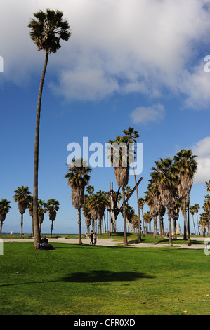 USA Kalifornien Los Angeles Venice Beach Los Angeles CA Südpolarmeer Strand Palmen Stockfoto