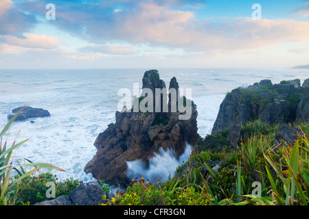 Erodiert Kalksteinformationen bekannt als Pancake Rocks, Dolomit Point, Punakaiki, an der Westküste der Südinsel Neuseelands. Stockfoto