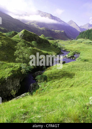 Grünen Rasen eines Berges Stockfoto