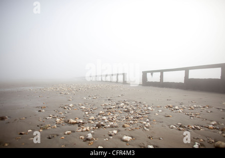 Nebel Wolken Sandown Beach auf der Isle Of Wight. Hölzerne Buhnen verschwinden in der niedrigen Wolken im englischen Badeort. Stockfoto