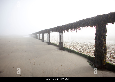 Nebel Wolken Sandown Beach auf der Isle Of Wight. Hölzerne Buhnen verschwinden in der niedrigen Wolken im englischen Badeort. Stockfoto