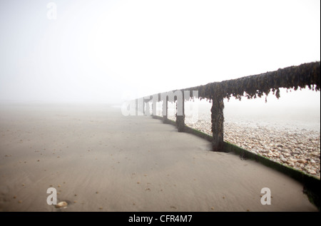 Nebel Wolken Sandown Beach auf der Isle Of Wight. Hölzerne Buhnen verschwinden in der niedrigen Wolken im englischen Badeort. Stockfoto