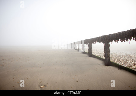 Nebel Wolken Sandown Beach auf der Isle Of Wight. Hölzerne Buhnen verschwinden in der niedrigen Wolken im englischen Badeort. Stockfoto