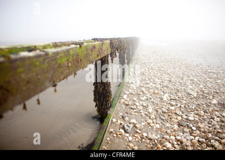 Nebel Wolken Sandown Beach auf der Isle Of Wight. Hölzerne Buhnen verschwinden in der niedrigen Wolken im englischen Badeort. Stockfoto