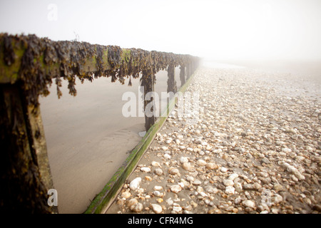Nebel Wolken Sandown Beach auf der Isle Of Wight. Hölzerne Buhnen verschwinden in der niedrigen Wolken im englischen Badeort. Stockfoto