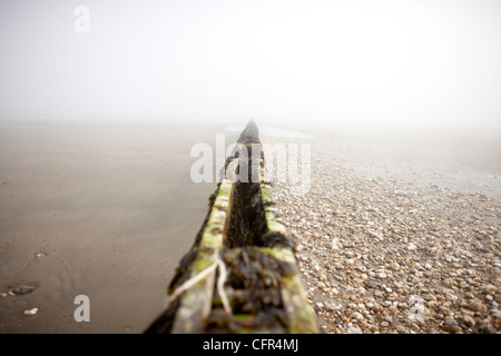 Nebel Wolken Sandown Beach auf der Isle Of Wight. Hölzerne Buhnen verschwinden in der niedrigen Wolken im englischen Badeort. Stockfoto