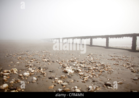 Nebel Wolken Sandown Beach auf der Isle Of Wight. Hölzerne Buhnen verschwinden in der niedrigen Wolken im englischen Badeort. Stockfoto