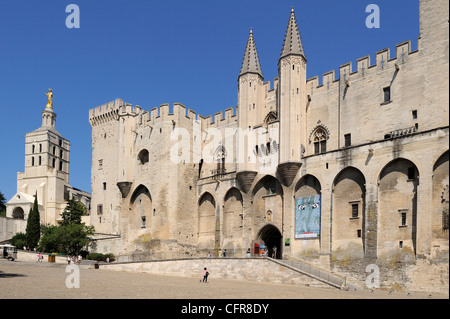 Kathedrale Notre Dame des Doms und Palais des Papes, UNESCO-Weltkulturerbe, Avignon, Provence, Frankreich, Europa Stockfoto