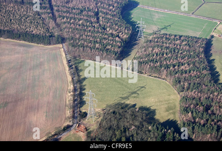 Luftaufnahme von Strommasten überqueren Land durch Bäume Stockfoto