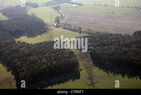 Luftaufnahme von Strommasten überqueren Land durch Bäume Stockfoto