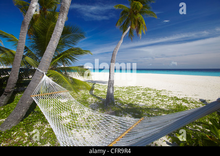 Hängematte und tropischer Strand, Malediven, Indischer Ozean, Asien Stockfoto