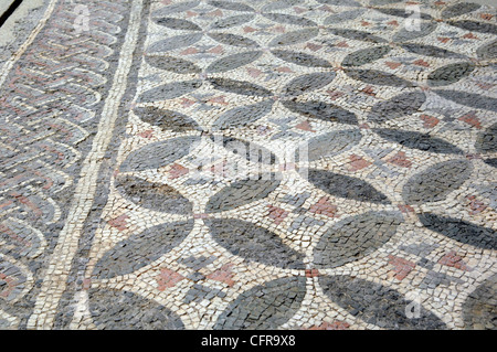 Antike römische Mosaik Archäologischen Nationalmuseum für Archäologie, Grumento, Basilicata, Italien Stockfoto