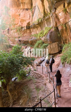 Senken der Emerald Pool, Zion Nationalpark, Utah, Vereinigte Staaten von Amerika, Nordamerika Stockfoto