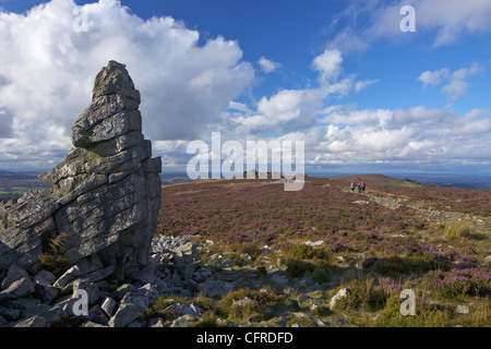 Sommersonne auf der Stiperstones, Shropshire, England, Vereinigtes Königreich, Europa Stockfoto