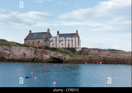 Alte Fischer Hütten am Hafen von Cove, in den Grenzen von Schottland. Stockfoto