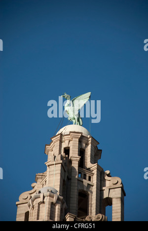 Liverbirds auf das Royal Liver Building an der Uferpromenade in Liverpool Stockfoto