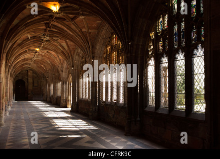 Großbritannien, England, Worcestershire, Worcester Kathedrale Kreuzgang Stockfoto