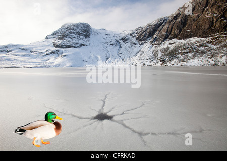 Eine gefrorene scheut Tarn mit Riss Muster in das Eis über dem Langdale Tal im Lake District, Großbritannien mit Pavey Arche Stockfoto