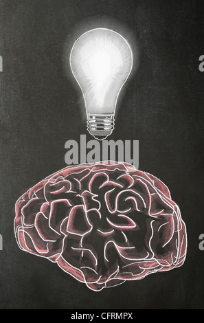 Abbildung in Chalk eines menschlichen Gehirns mit einer Glühbirne oben es auf einer Tafel Stockfoto