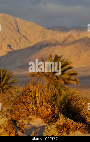 Die Berge von Moab im Araba-Tal. Stockfoto