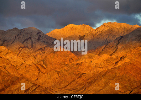 Die Berge von Moab im Araba-Tal. Stockfoto