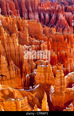 Hoodoos - erodierten Felsformationen im Bryce Canyon National Park, Utah, USA Stockfoto