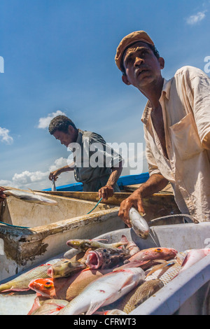 Haufen gefangen frisch Tote Fische mit Fischer Stockfoto