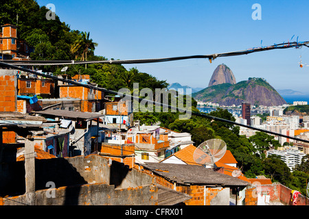 Zuckerhut im Quartal Botafogo Rio De Janeiro, Brasilien-Wahrzeichen von Morro Santa Marta (oder Favela Santa Marta) gesehen Stockfoto